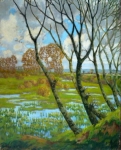 O. Funda - Wetlands