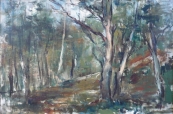 Forest interior