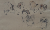 Dogs