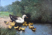 J. Medr - Duck with ducklings