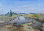 Antonin Balcar - Swamp