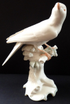 Sitting turtledove on a twig - Karl Tutter, Hutschenreuther