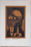 Vladimir Komarek - Ex libris Ing. M. Losik