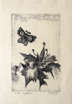 Vaclav Houf - PF 1974 J. Zemcik