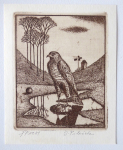 Jindrich Pilecek - Falcon, P. F. 1981