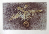Jan Halla - Flowering fern 