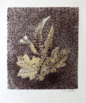 Jan Halla - Leafs