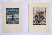 Dusan Kallay - Two ex libris 