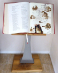 Bible with unique illustrations - Salvador Dali + custom art book stand