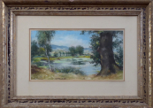 On the dam of the pond