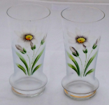 Two glass with white flowers -  Alps Edelweiss