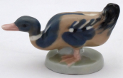 Small duck - Dubi near Teplice 