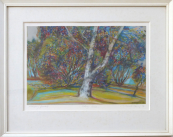 Boris Nosek - Volary, Birch