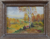 Birch grove in autumn