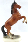 Brown Horse - Hertwig, Katzhütte