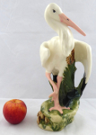 Stork standing on one leg 