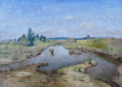 Antonín Balcar - Mokřina (2).JPG
